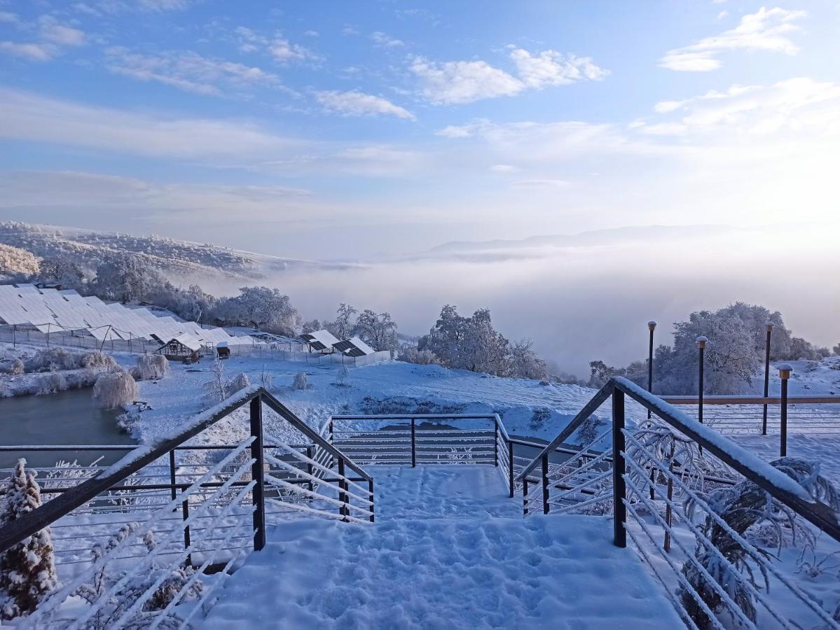 Apaga Hotel Ijevan
